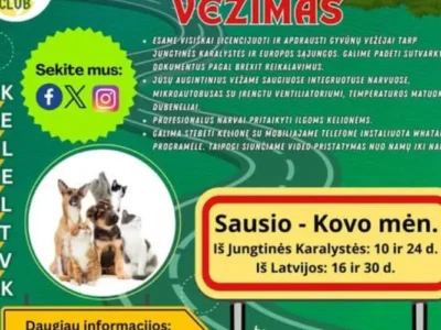 Licencijuoti gyvūnų vežėjai – jūsų augintinių kelionė be rūpesčių!